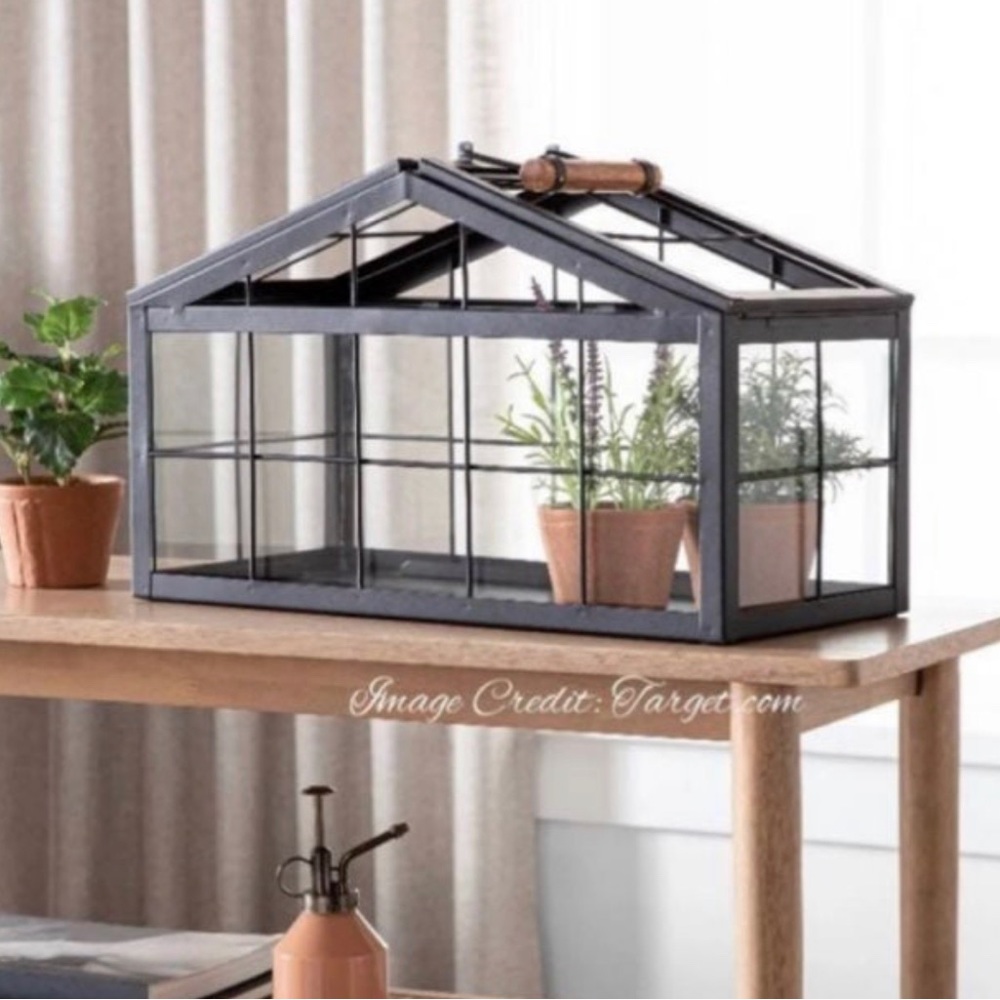 Hearth & Hand Terrarium - Flaw: Missing Back Glass